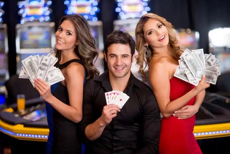 7 bet login