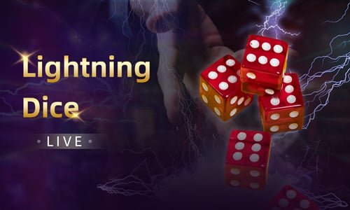 7 bet login